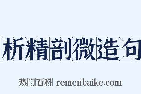 析精剖微造句是什么意思的图片